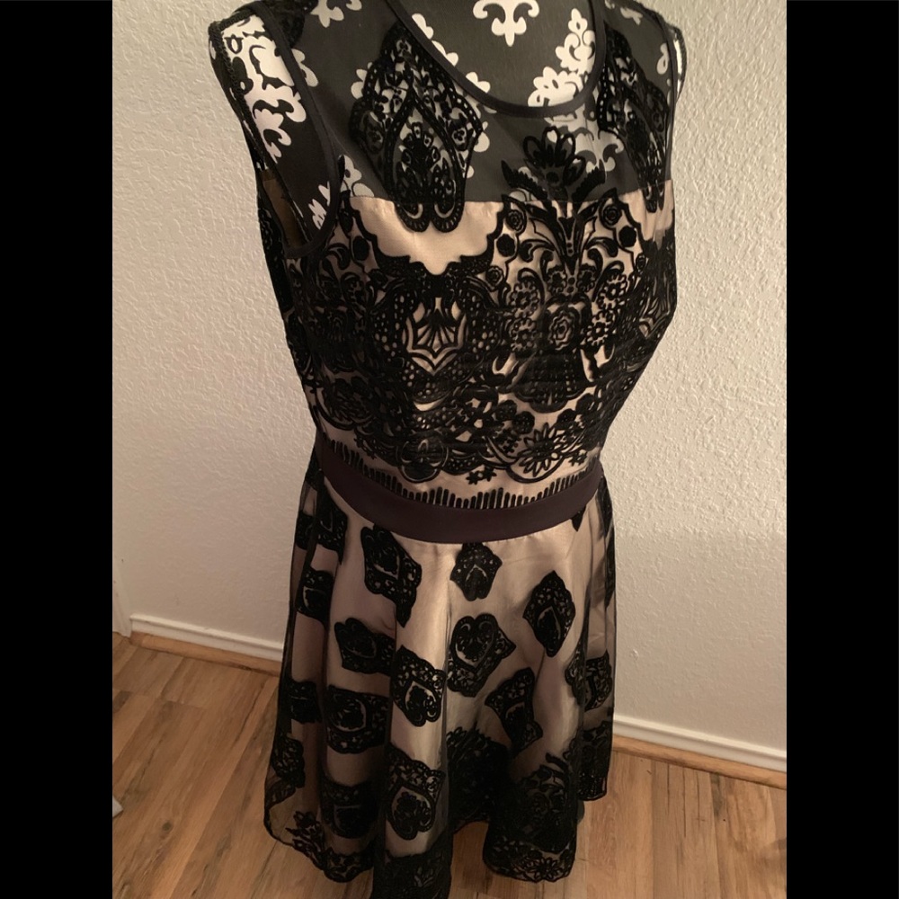 NWT Lacy Velvet Dress